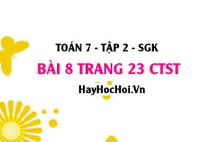 Bài 8 trang 23 Toán 7 Tập 2 Chân trời sáng tạo